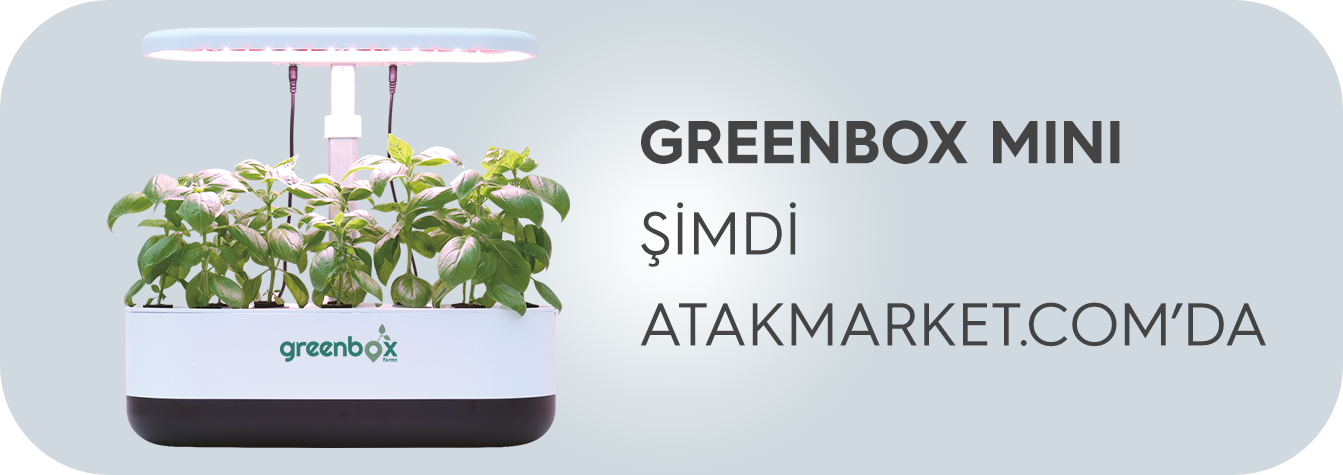 Greenbox Mini