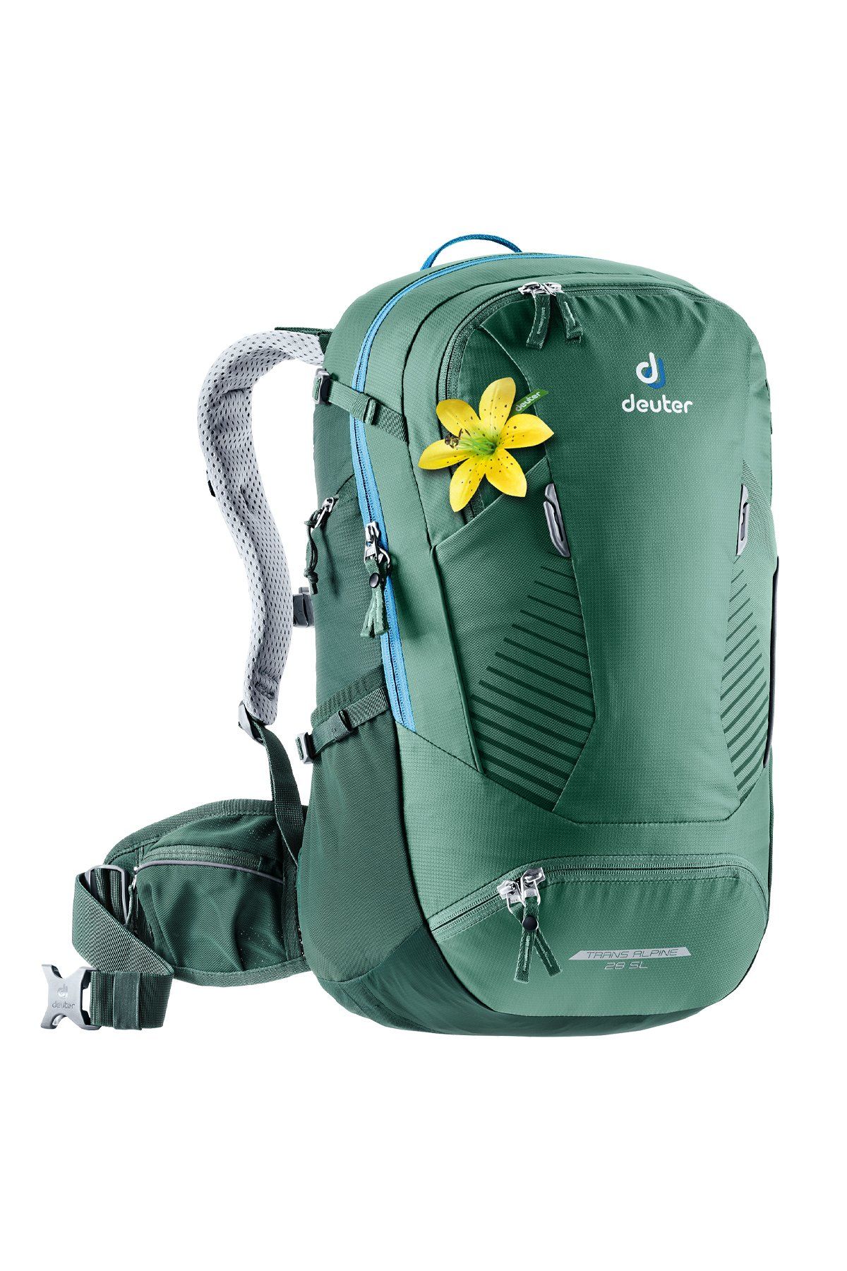 DEUTER Trans Alpine 28 Litre SL Kadın Çantası seagreen-forest