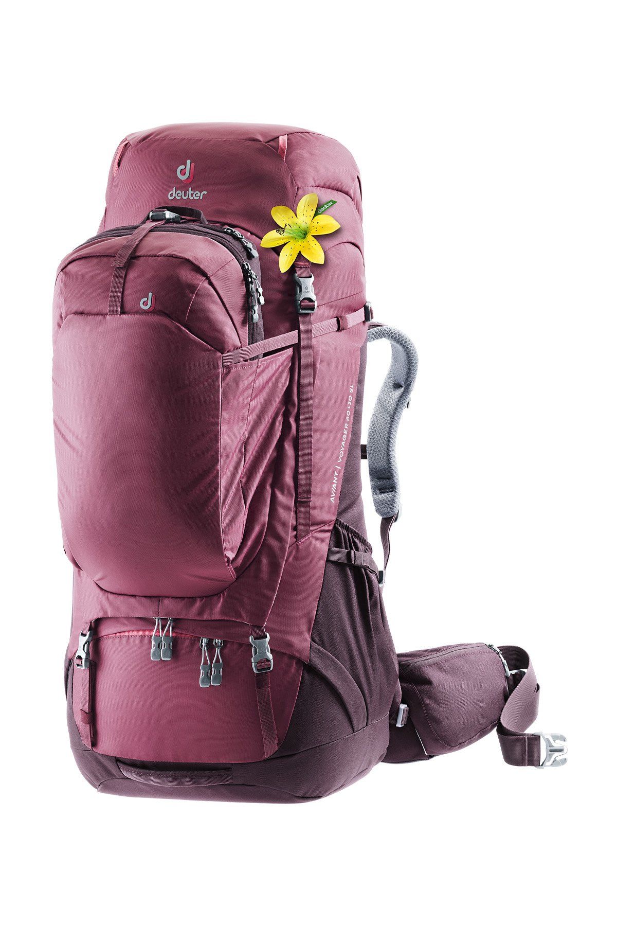 DEUTER Aviant Voyager 60+10 SL Kadın Sırt Çantası MARON-AUBERGİNE