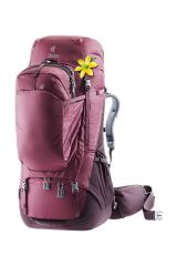 DEUTER Aviant Voyager 60+10 SL Kadın Sırt Çantası MARON-AUBERGİNE