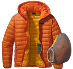 Patagonia Bay Down Sweater Hoody