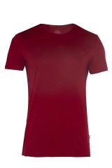 Alpinist Enduro Basic T-Shirt BORDO