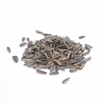 Kavrulmuş Ay Çekirdeği 500gr