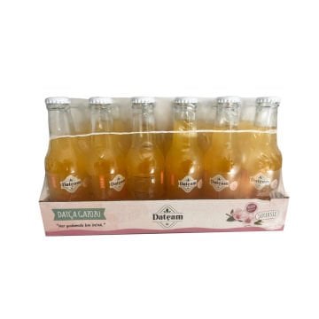 Mandalina Gazozu 200 ML 24'lü