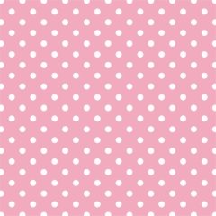 Açık Pembe Zemin Üzerine Beyaz Puanlı Keçe Plaka (DK P3)