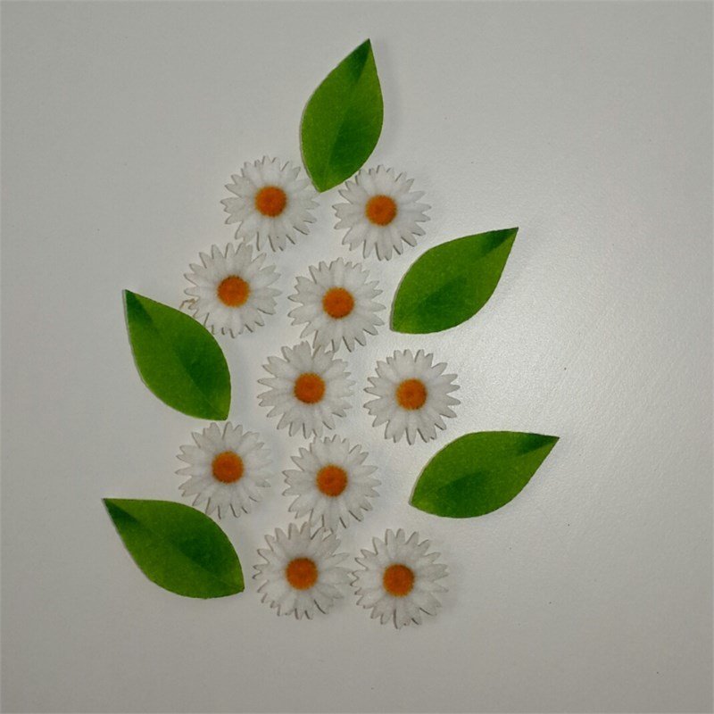 Beyaz Papatya ve Yaprak Desenli Keçe Aplike  (DK 99 D)