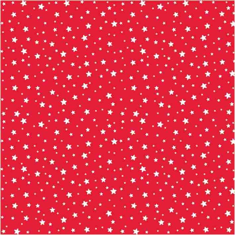 Yıldız Desenli Keçe Plaka Kırmızı (DK P360)