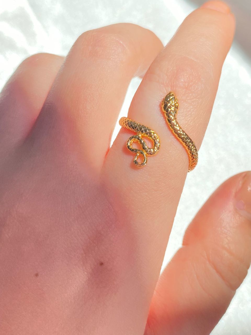 Snake store ring set