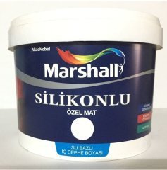 Silikonlu Özel Mat Duvar Boyası 1 Lt Renk: YV-G-003