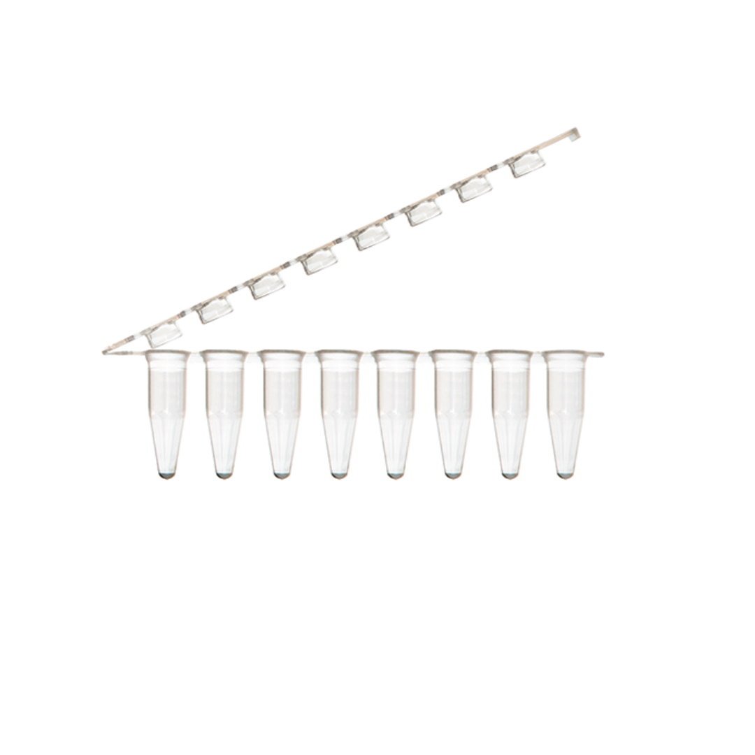 0,1 ml PCR Tüp  PCR Strip Tubes –  DNAse/RNAse, Projen İçermez, Tüp ve Kapak Şeffaf Tasarım – 125 Adet Paket