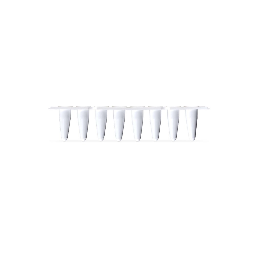0,1 ml PCR Tüp  PCR Strip Tubes –  DNAse/RNAse, Projen İçermez, Mat Beyaz Tüp ve Şeffaf Kapak Tasarım – 125 Adet Paket