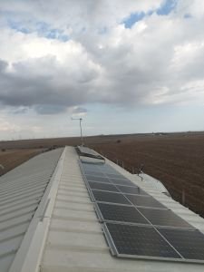Tekirdağ Sultanköy Hayvan Ciftliği Ahmet bey
