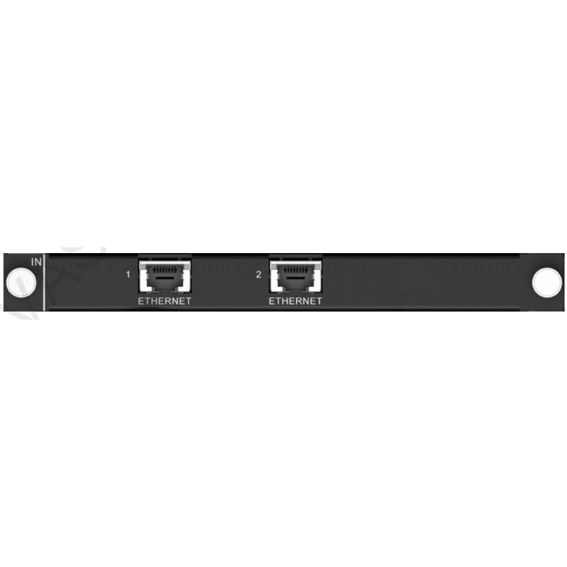 H_2xRJ45 IP input card