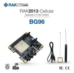 RAK2013 , Cellular IoT Pi HAT Quectel BG96/BG95-M3