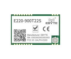 E220-T Serisi , LoRa Wireless Modül E220-900T22S