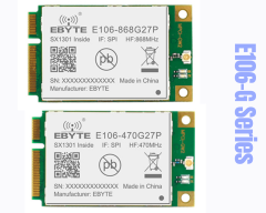 E106-G Series, LoRaWAN PCI-e Module