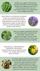JdF Aromaterapi Saç Bakım Serumu 50 ml