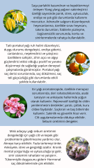 JdF Aromaterapi Nature De L'amour Saç, Yüz ve Tüm Vücut Misti 100 ml