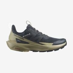 Salomon Shoes Elicir Activ Carbon/Slagre/Glacgr