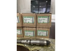 65.10401-7001 Diesel Fuel Injector for DAEWOO / DOOSAN Engine