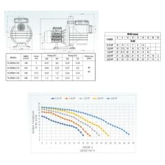 Atlaspool Florida Model 0.75 HP Monofaze Havuz Pompası