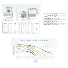 Atlaspool Florida Model 0.75 HP Trifaze Havuz Pompası