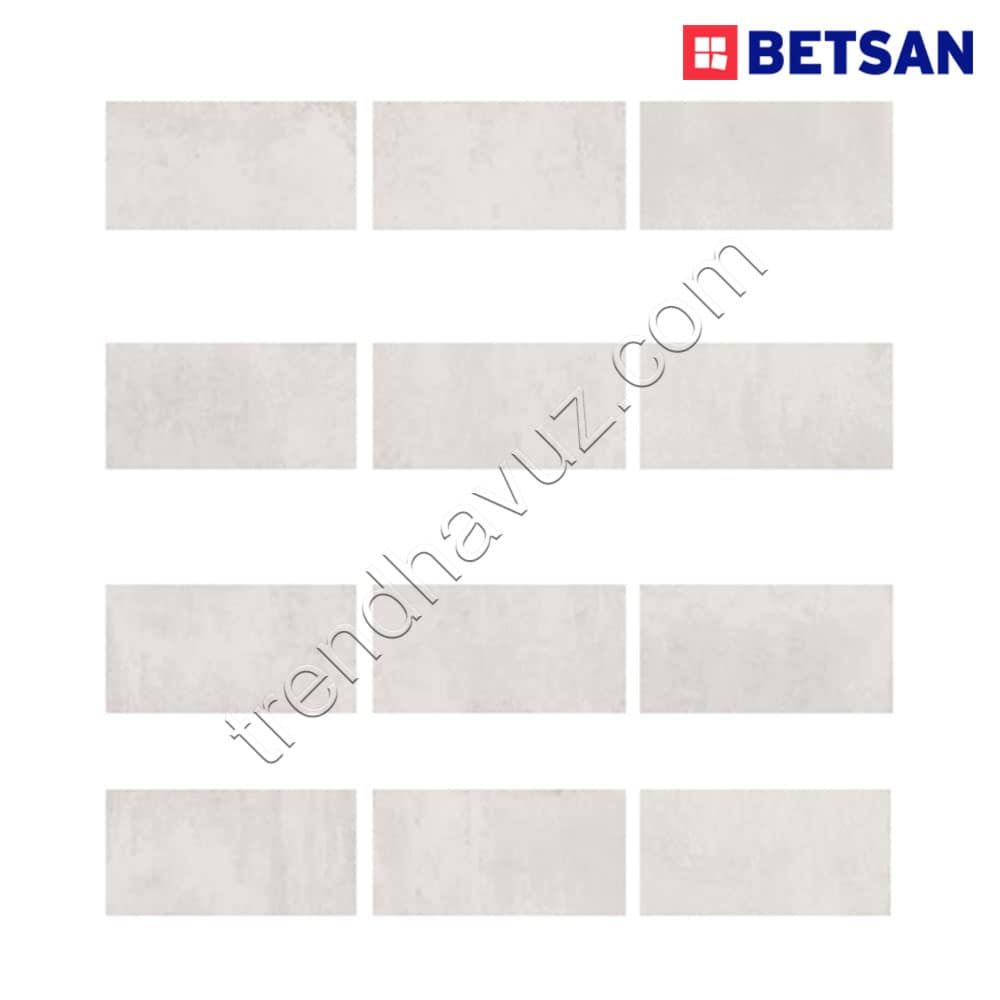 Betsan Vision Light Doğal Porselen Karo (1 m² - 33x66.5 cm)