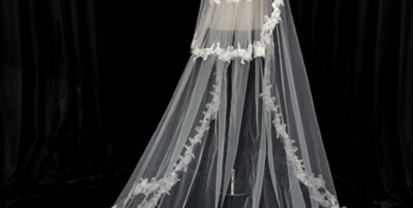 Veil Models