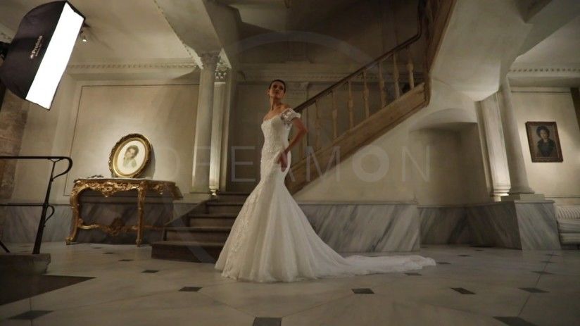 What are Fish Wedding Dress Models?