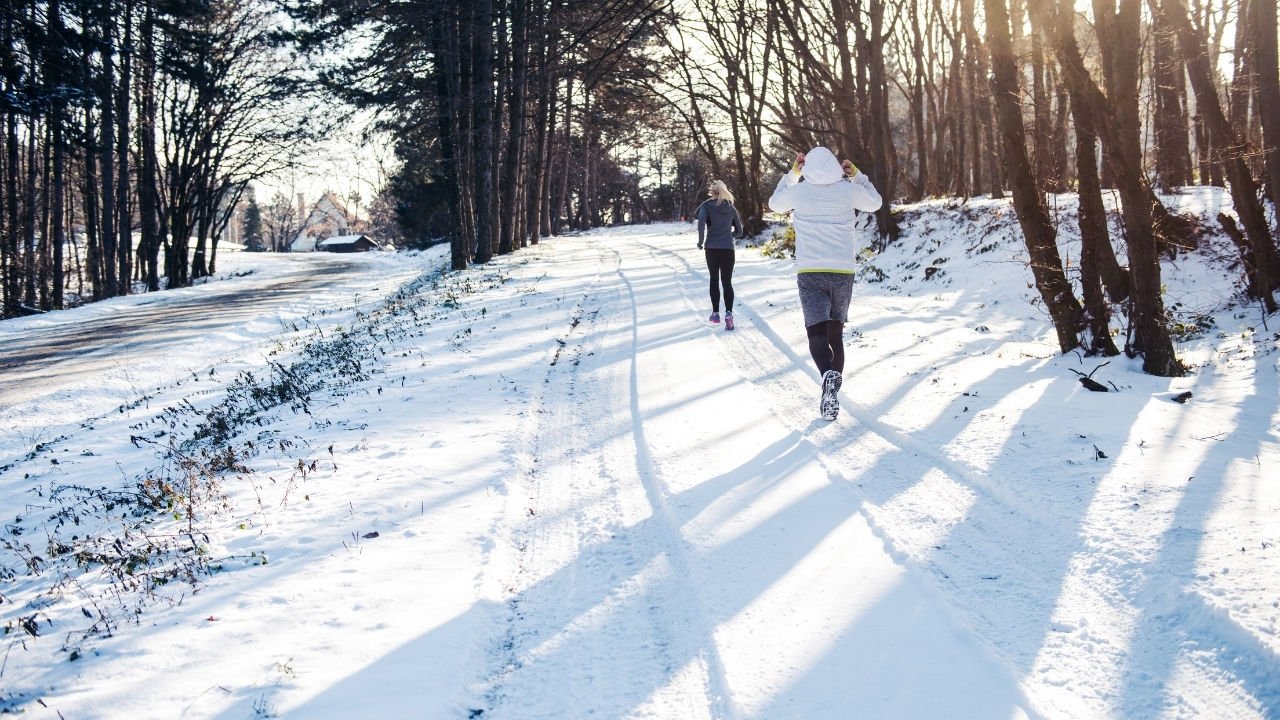 Actividades de invierno: ¡Días de invierno llenos de cálidos recuerdos!