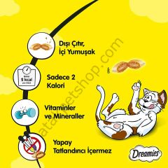 Dreamies Somonlu Kedi Ödül Maması