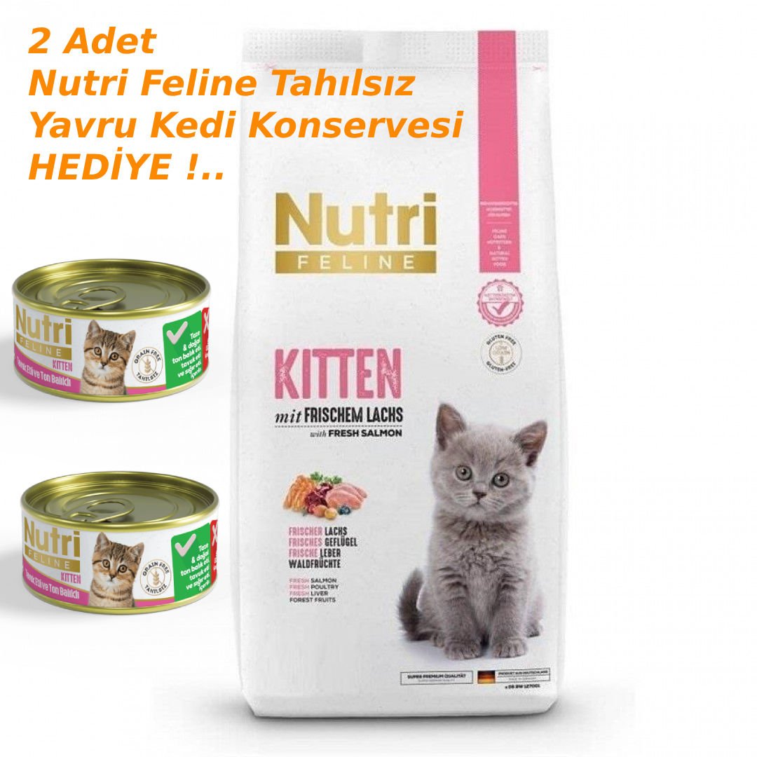 Nutri Feline Kitten Yavru Glutensiz Kedi Maması 10 Kg
