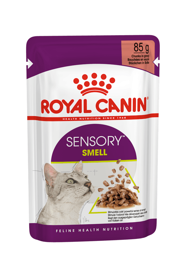 Royal Canin Sensory Smell Gravy Yaş Kedi Maması 85 gr