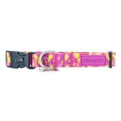 WeePetz Pineapple Collar Köpek Boyun Tasması Medium