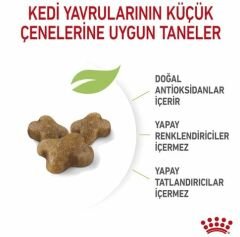 Royal Canin Kitten 10 Kg Yavru Kedi Maması