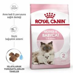 Royal Canin Mother and Babycat 4 Kg Anne ve Yavru Kedi Maması