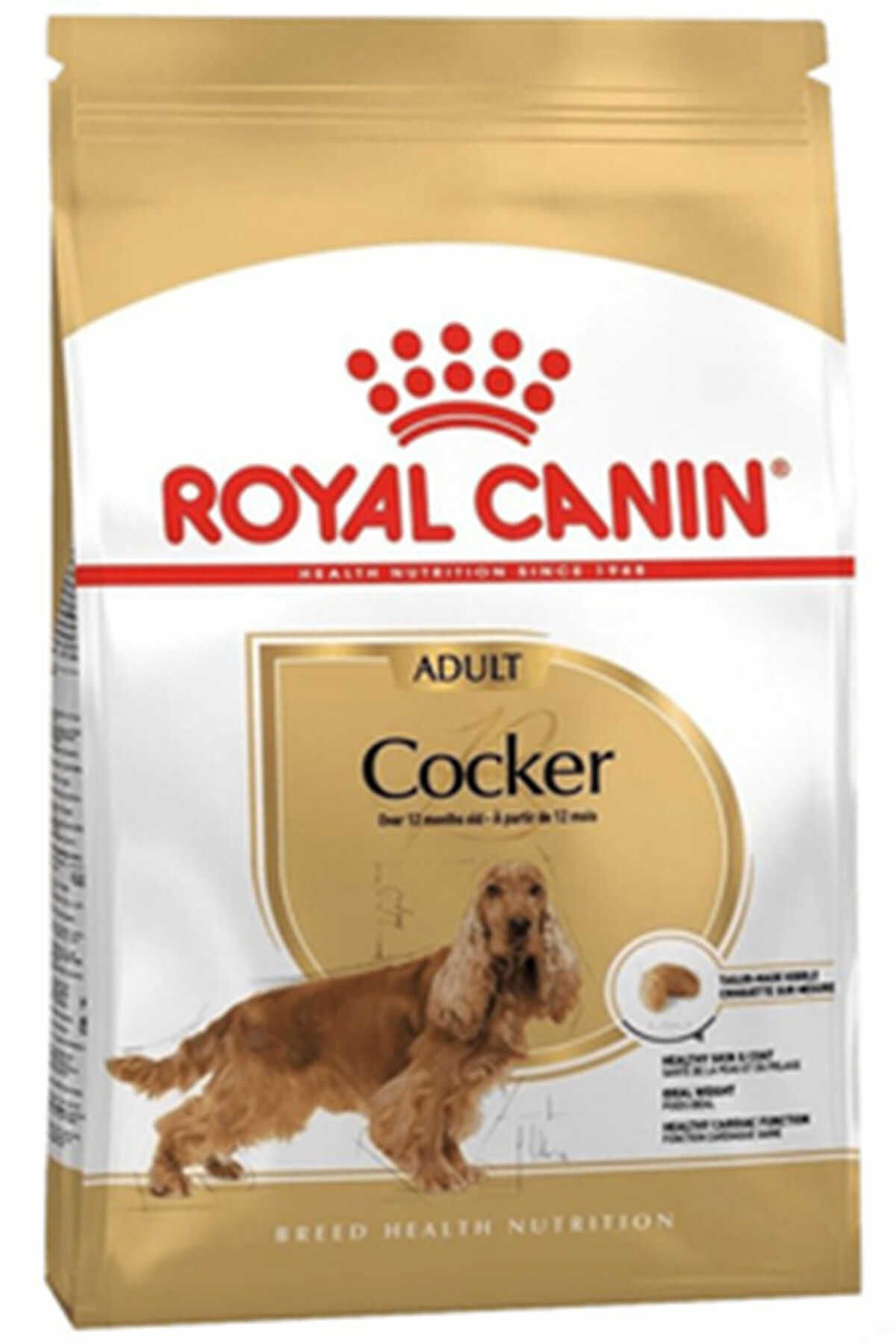 Royal Canin Cocker Yetişkin Köpek Maması 3kg