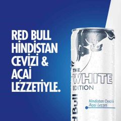 Red Bull Enerji İçeceği Hindistan Cevizi ve Açai 250 ml X 24'lü PAket