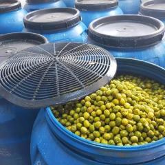 Halhalı Kırma Zeytin 3 lük Pet Toptan