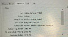 Hp 15-da2023nt /  i5 10.Nesil  /8GB RAM /1TB HDD /120 SSD / NVIDIA GeForce MX110 (2GB)