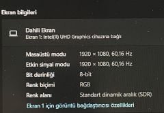 Lenovo Think Pad T15 / İ7-10.Nesil / 16 Ram / 512SSD / MX330