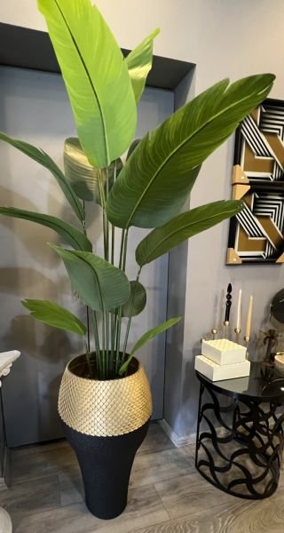 CROCO SAKSI VE AĞAÇ