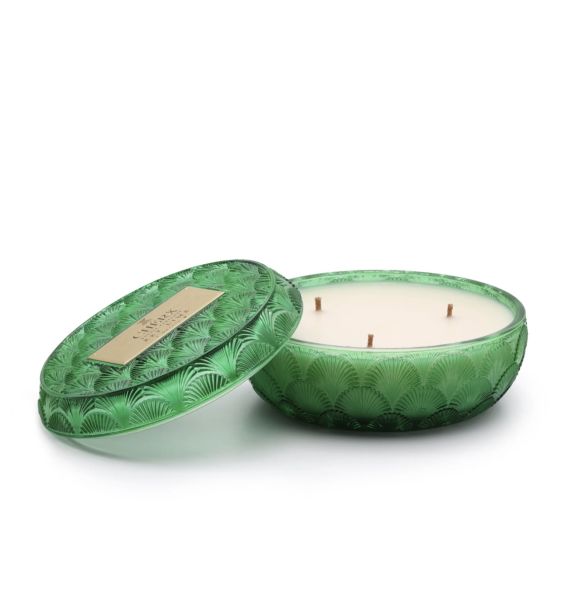 Key Lime Cam Kase Mum