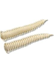 Berkley Gulp Alive Sandworm 5cm LRF Silikon Kurt Bloody