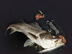 Little Jack Sayoris 182 mm 28 gr Suni Yem