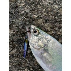 Little Jack Micro Adict Asymmetry 35mm 3gr Jig Yem