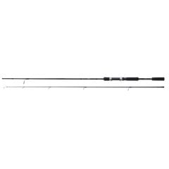 Shimano Rod FX XT Spinning MOD-FAST 2,70m 14-40g 2pc Spin Kamışı