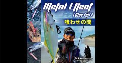 Jackson Metal Effect Stay Fall  20g 66mm Jig Yem