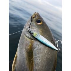 Little Jack Metal Adict 02 63 mm 20 gr Jig Yem