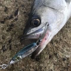 Little Jack Hymir-85 85 mm 20.4 gr Suni Yem